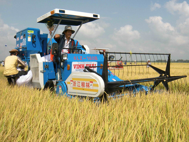 Bộ Công Thương: Việt Nam dư khoảng 6,6 triệu tấn gạo để xuất khẩu